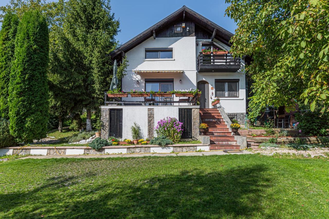 Home Alone Braşov Eksteriør bilde